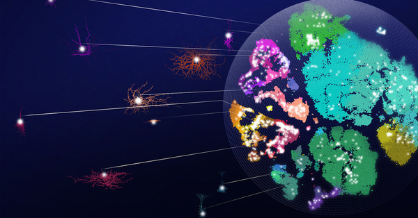 Thumb ticker md landkarte der neuronentypen illustration