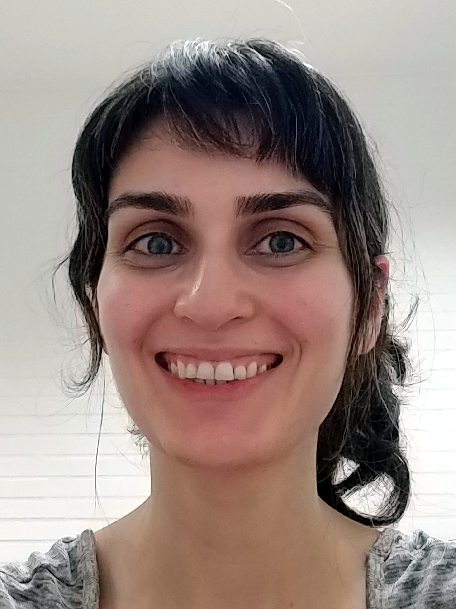 Setareh Maghsudi