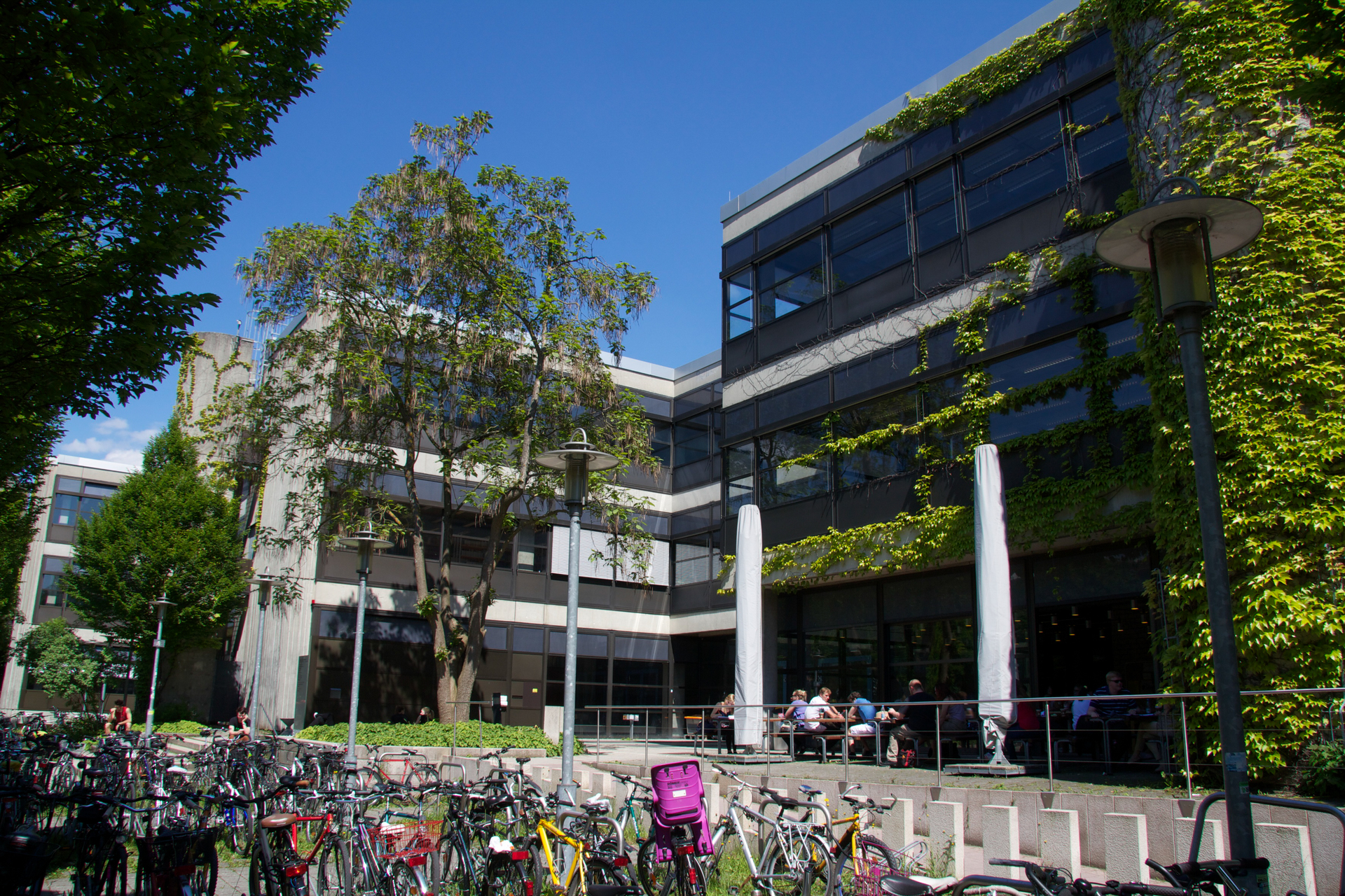 Newly established RHET AI Center to focus on the societal impacts of artificial intelligence
