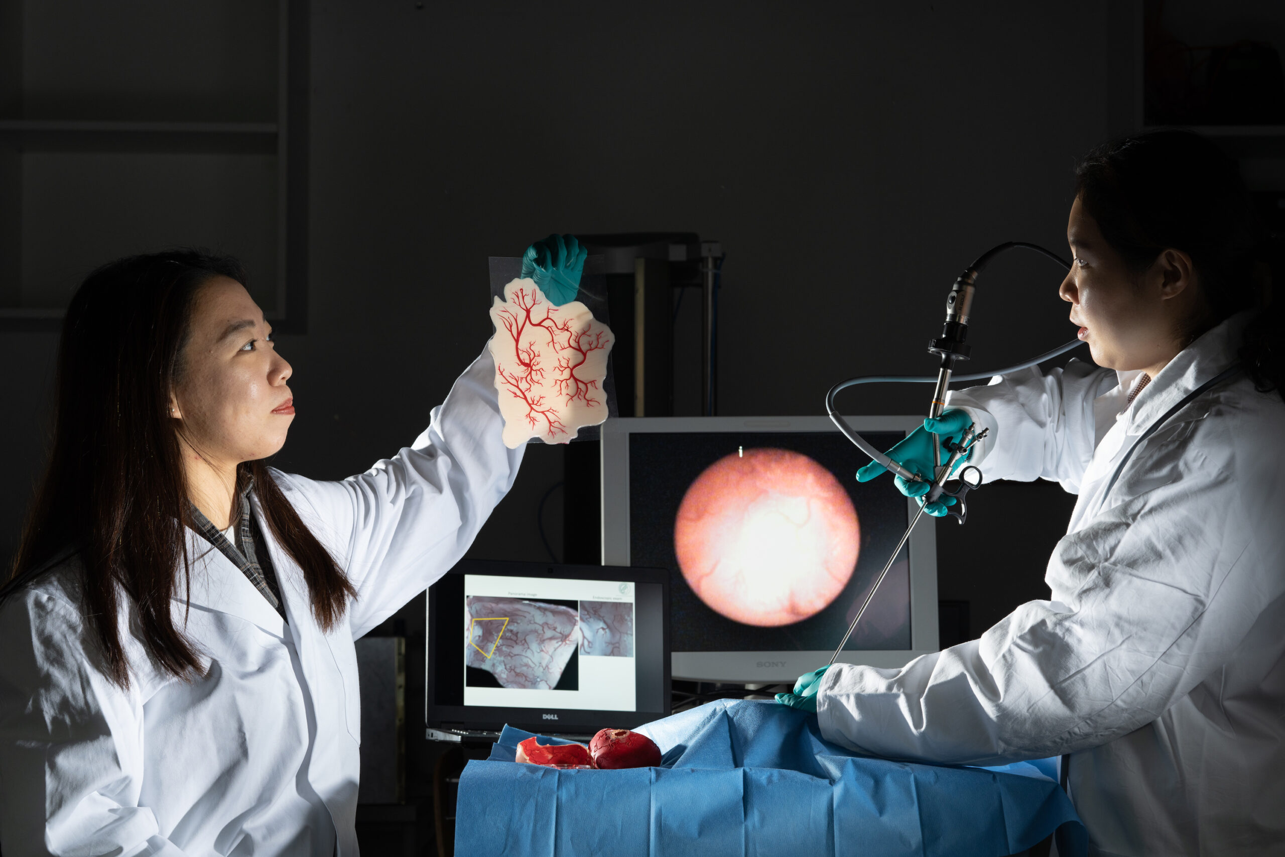Organ twin: a “flight simulator” for surgeons