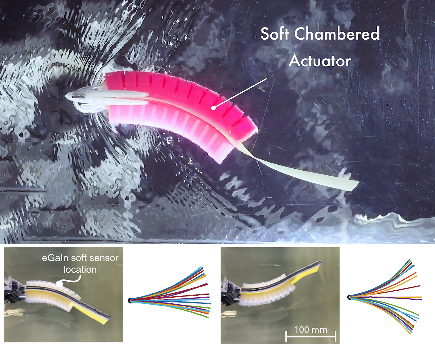 Underwater swimming robot responds with feedback from soft ‘lateral line’