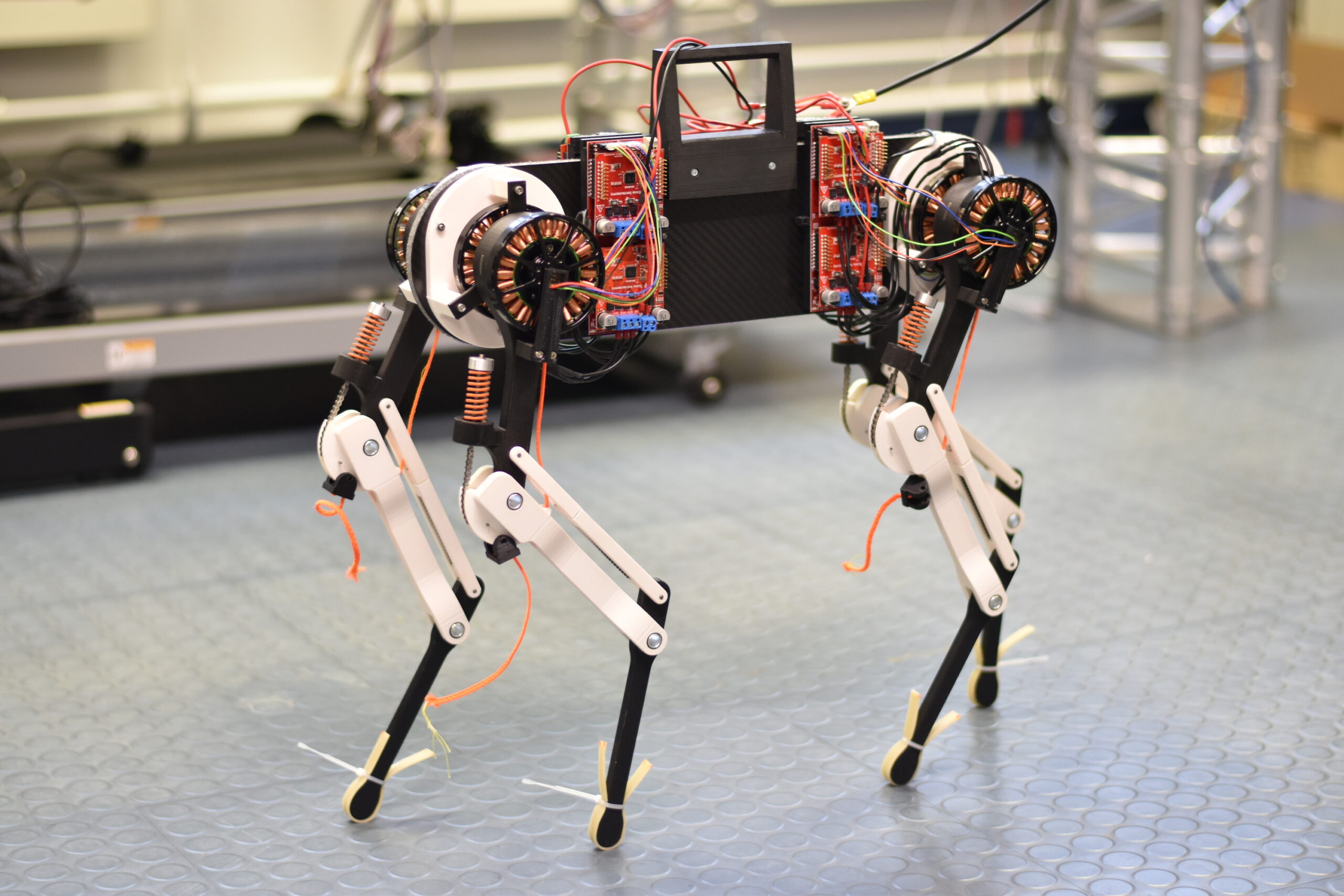 Robot dog learns to walk in one hour