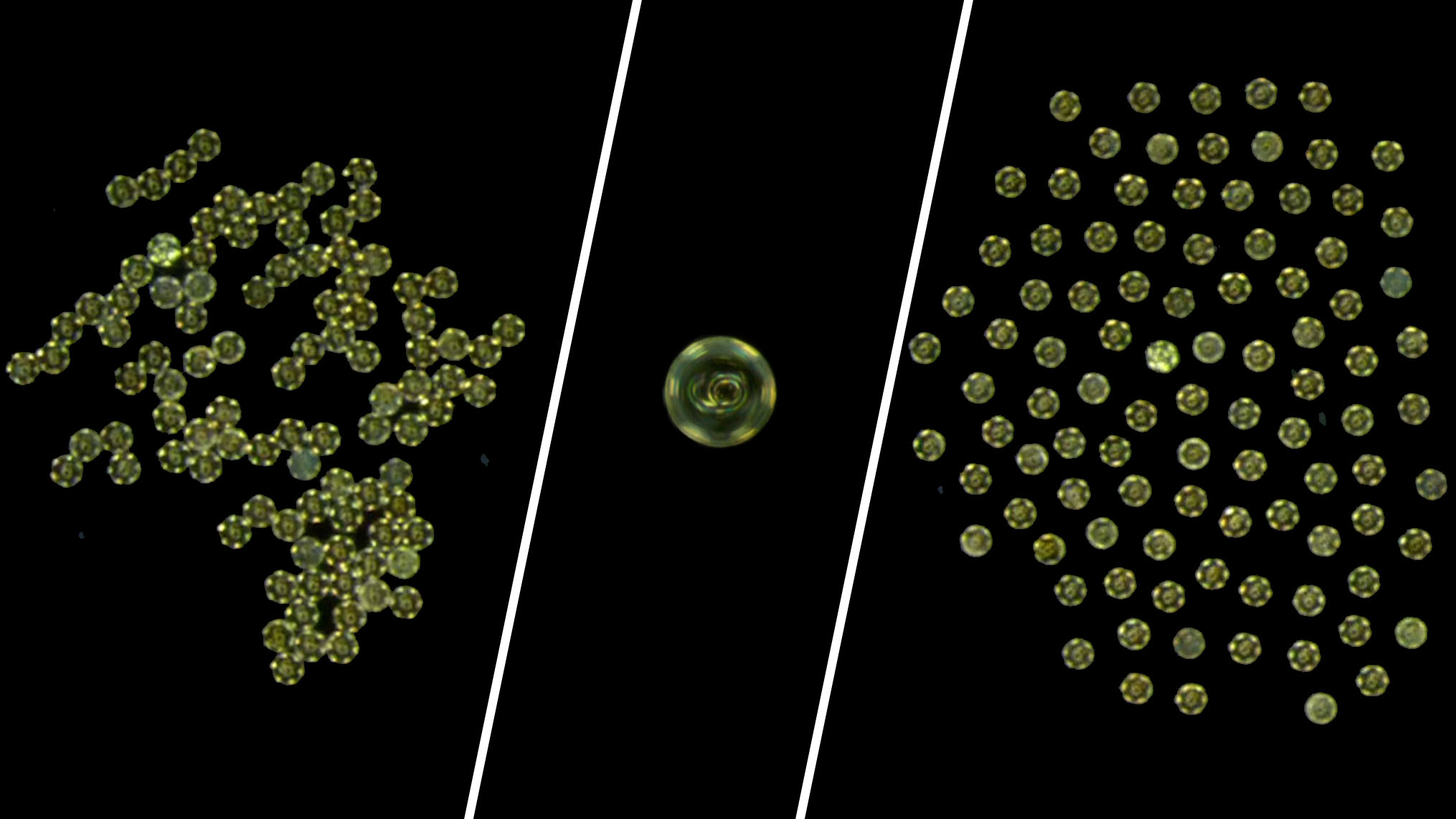 Microrobots display versatile movement patterns