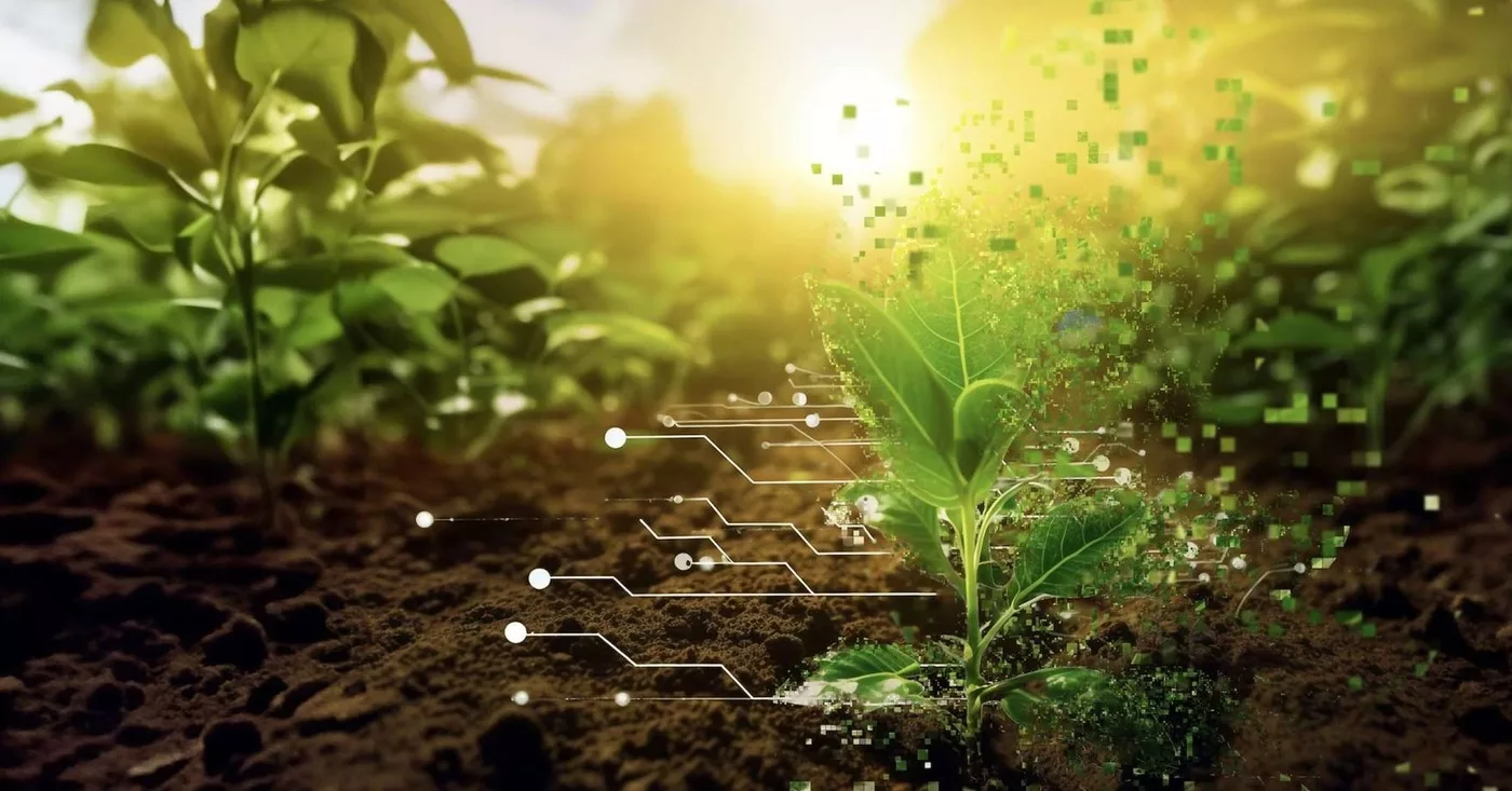 Computomics raises EUR 6.3 Mio to scale climate-smart plant breeding